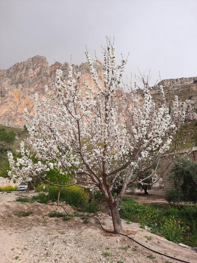Cortijo El Chorreadero En Parque Natural Sierra De Cazorla Los Rosales  Exteriör bild