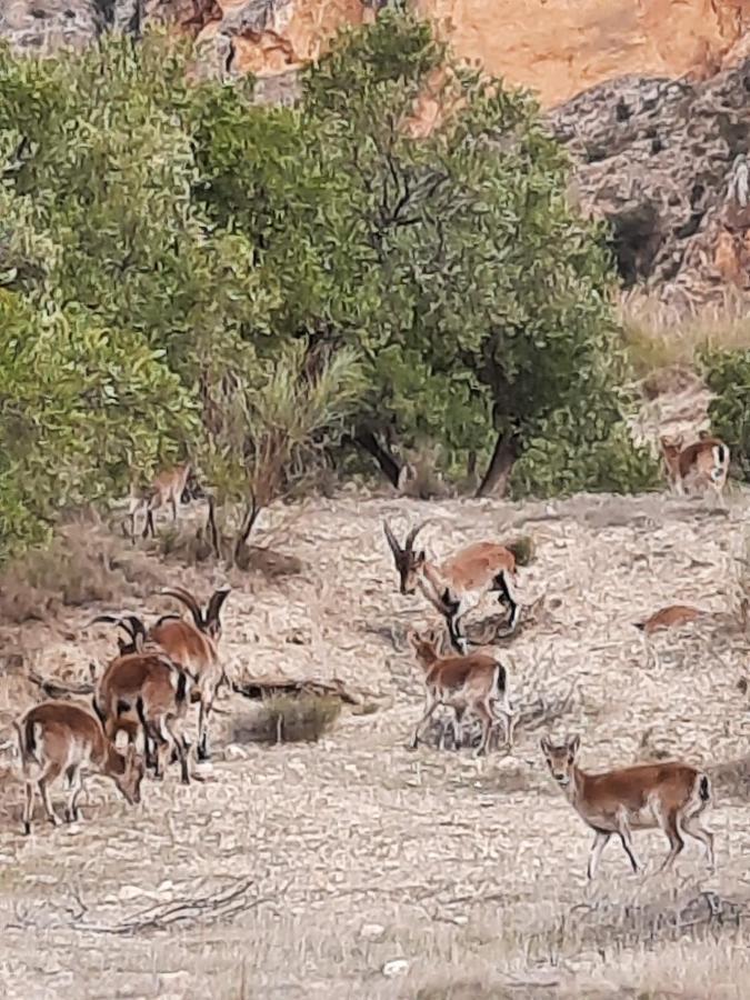 Cortijo El Chorreadero En Parque Natural Sierra De Cazorla Los Rosales  Exteriör bild