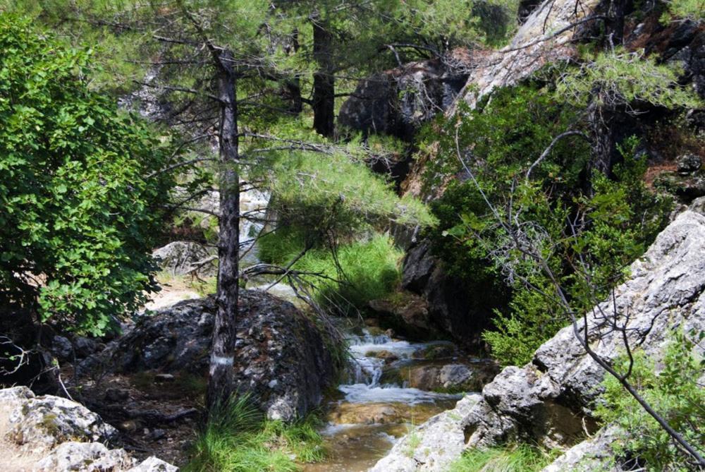 Cortijo El Chorreadero En Parque Natural Sierra De Cazorla Los Rosales  Exteriör bild