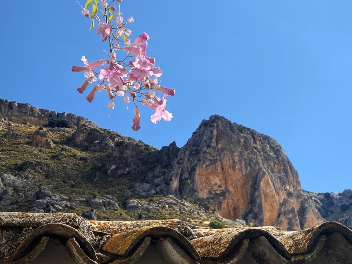 Cortijo El Chorreadero En Parque Natural Sierra De Cazorla Los Rosales  Exteriör bild
