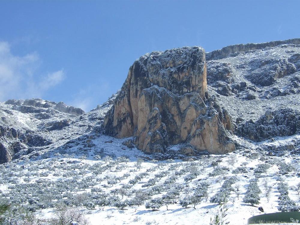 Cortijo El Chorreadero En Parque Natural Sierra De Cazorla Los Rosales  Exteriör bild